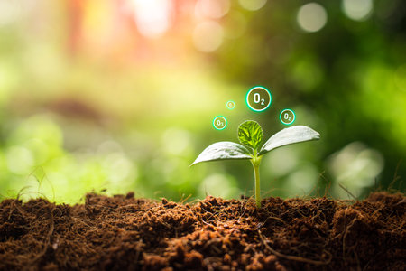 Earth day concept. Purify the air ico ns. Sustainable resources. Plant management or environment symbol. Clean energy growing up.の写真素材