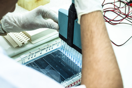 Experiments in labの写真素材