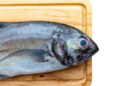 Fresh Raw  Giant Trevally Fish on Cutting Board Flat Layの写真素材