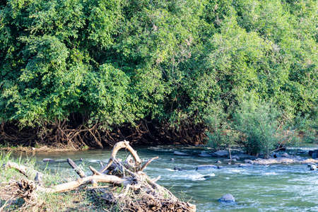the middle of the forest is calm and cool.の写真素材