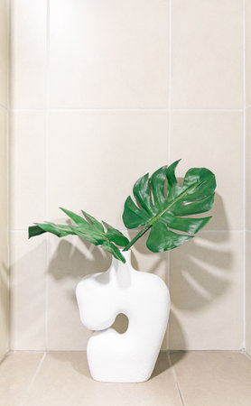 monstera leaf in vase on background.の写真素材