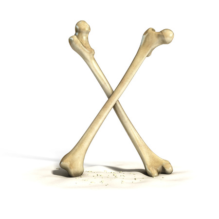 bones font letter Xの写真素材