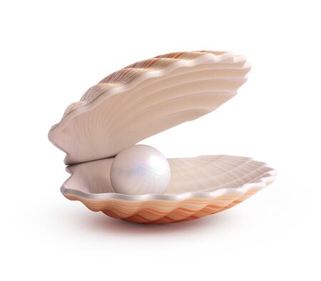Pearl inside seashell isolated on white background 3d renderingの写真素材