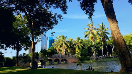 Bridge over pond parkの素材