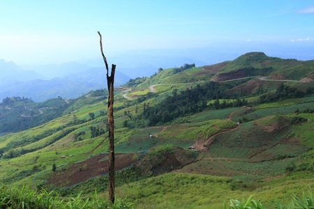Prairie and mountain is landscape in Petchaboon province,Thailand.