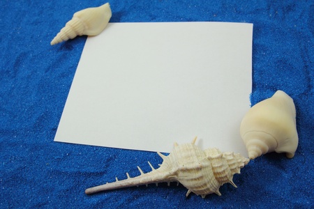 Sand, shells, and record memories.の写真素材
