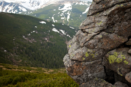 Fragment of a stone, Carpatian mountains, Ukraineの写真素材