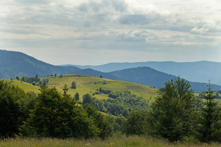 carpathian hills in Ukraineの写真素材