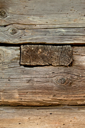 Damage wood wall by termiteの写真素材