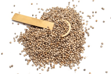 coriander poured poured in a wooden spoonの写真素材