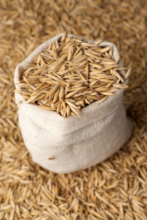 oat in sacの写真素材