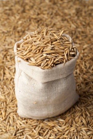 oat in sacの写真素材