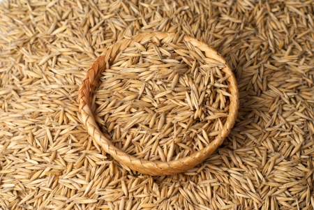 oat in basketの写真素材