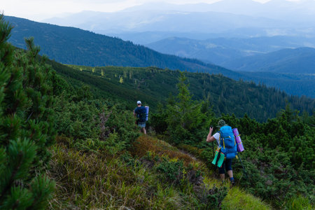 A group of tourists of different ages and genders with trekking poles and backpacks traveling along a trail through green meadows in the Carpathian mountains, Ukraineの写真素材