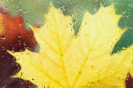 autumn background. autumnal maple leaves behind wet window glass with raindrops texture. symbol of fall time. rainy weather, atmosphere nature image. banner. template for designの写真素材