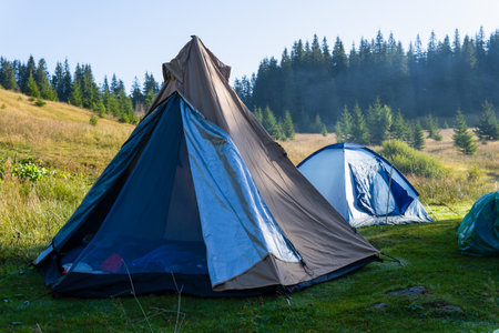 Tents are in the green misty forest. Close-upの写真素材
