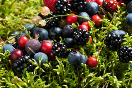 Berries fresh assorted mix overhead arrangement close up in studio on dark background.の写真素材