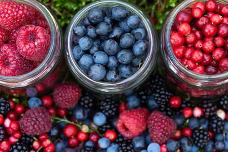 Assorted berries fresh mix colorful arrangement in forest.の写真素材