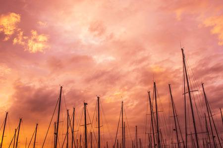 Pink evening in marina, masts in the sky, Maltaの写真素材