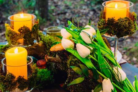 Wedding table decorations with tulips and mossの写真素材