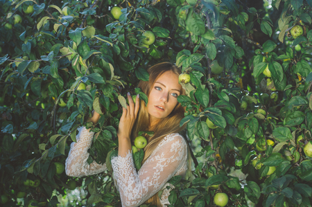 Portrait of young beautiful girl in white lace dress in apple garden, in the tree crownの写真素材