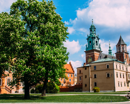 View to Wawel castle in Krakow, Polandのeditorial素材