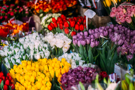 A lot of different color tulips in the shopの写真素材