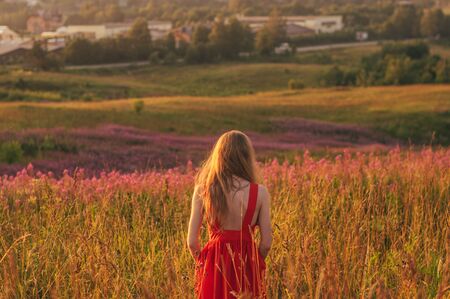 Girl in red dress staying by back among blooming Sally field in sunsetの写真素材