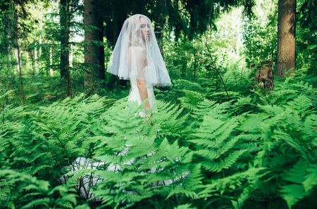 Portrait of young blond bride with veil that staying in forest among fern, looking to the cameraの写真素材