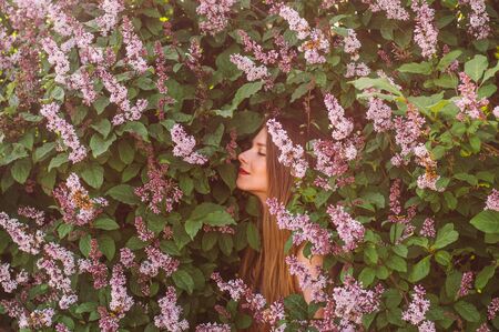 Portrait of girl with blond hair that smell flowers among lilac, summertimeの写真素材