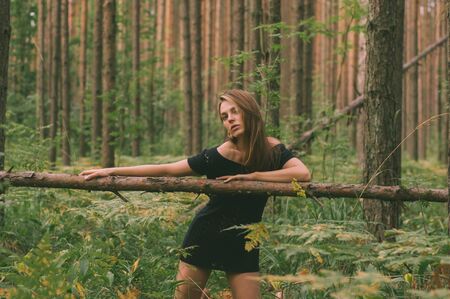 Portrait of young beautiful girl in black dress in forest that holds tree trunkの写真素材