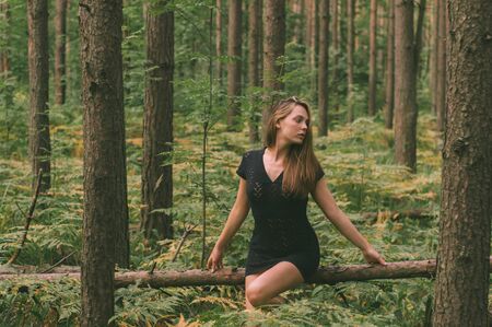 Portrait of young beautiful girl in black dress in forest that sitting on the tree trunk, looking to the sideの写真素材