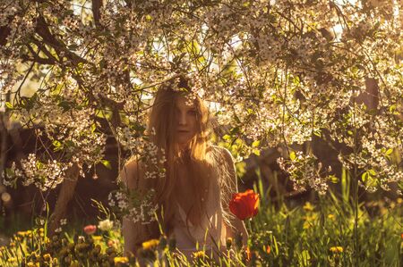 Girl in white dress sitting among flowers near tulip in sunset, dandelions and cherry flowers in springtimeの写真素材