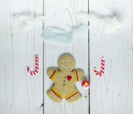 Gingerbread cookie man, on the white background