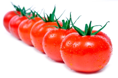 fresh tomatoes in a row with wter dropsの写真素材