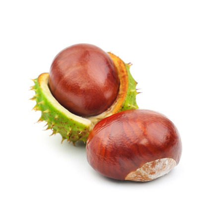 Two chestnut and crust on a white backgroundの写真素材