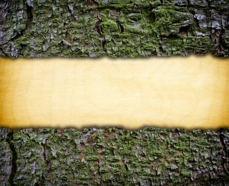 Wooden frame made of barkの写真素材