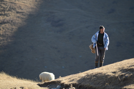 Kazbegi, Georgia, November 20, 2014: Shepherd grazing sheep in pasture in Caucasus, Georgia.のeditorial素材