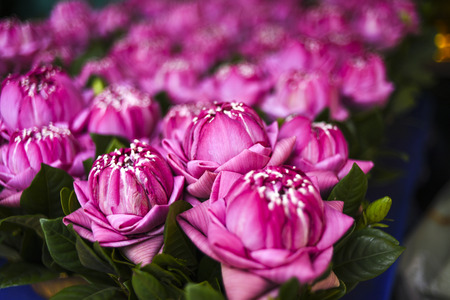 Buds of pink peonies in a bouquet at a flower marketの写真素材
