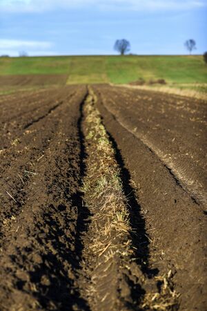 Plowed land waiting for cultivation.