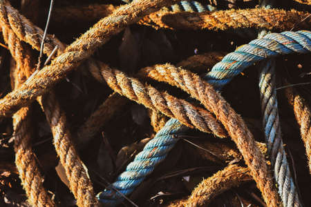 Fishing nets and equipment for catching fish at sea.の写真素材