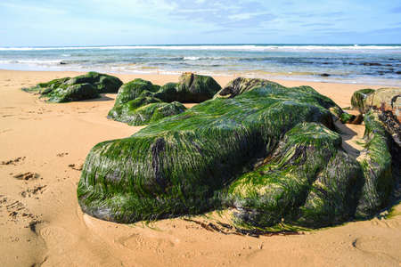 Beautiful oceanic landscape. Rocks jutting out of turquoise water off the coast of the Atlantic...
