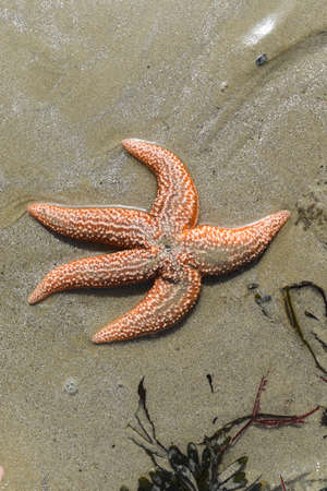 Different layers of rock, texture of stone, geological image of stone.の写真素材