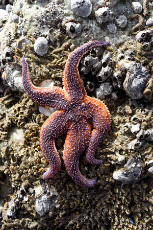 Different layers of rock, texture of stone, geological image of stone.の写真素材