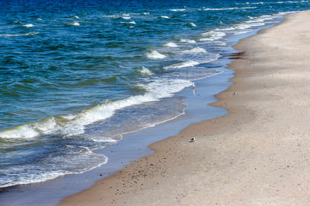 Aerial drone meadows and fields.の写真素材