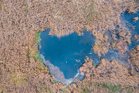 The shape of the heart on the lake among the thickets, view from the drone.の写真素材