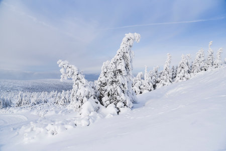 Winter mountain landscape. Giant Mountains in winter in Poland.の素材 [FY310197006153]