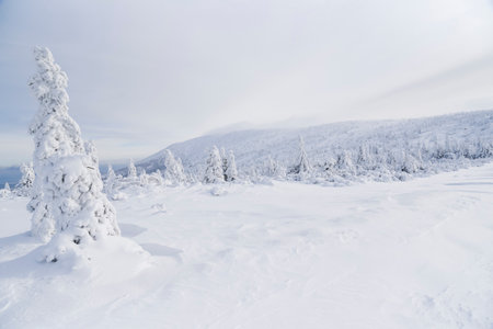 Winter mountain landscape. Giant Mountains in winter in Poland.の写真素材