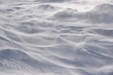 Snow texture, frozen snow formed by a blizzard.の写真素材