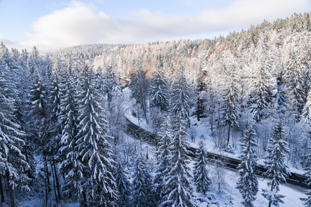 Asphalt road in the mountains in winter in the forest, top view. Winter mountain landscape.の写真素材